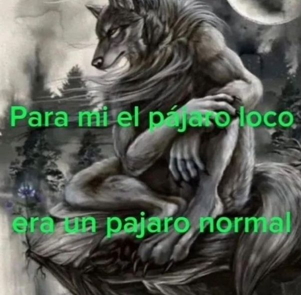 Galaxitoo's tweet image. 