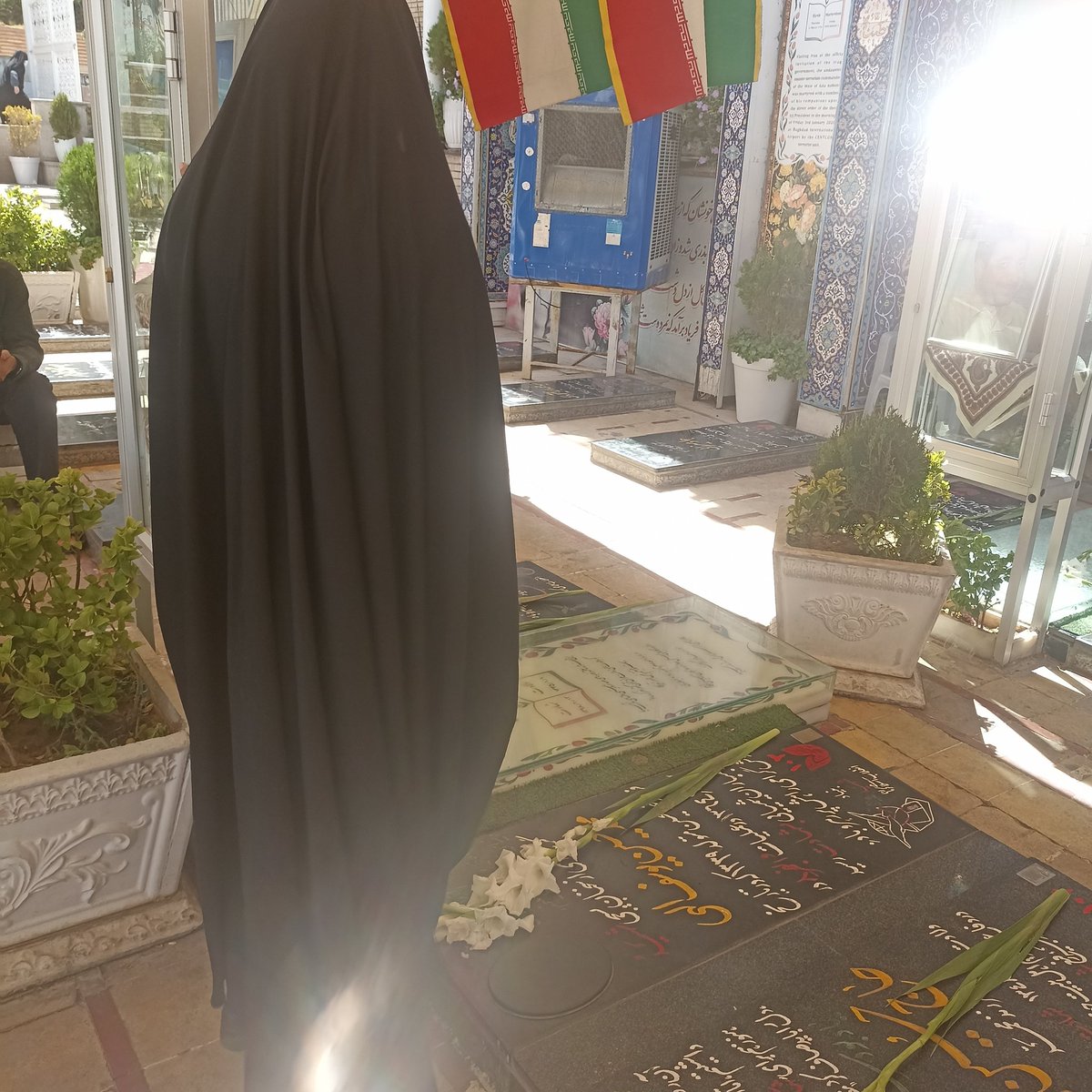 pouyan2025's tweet image. اواتارم عوض کردم چندروزپیشم
عوض کرده بودم اما باب دلم نبود
همون قبلی گذاشتم دیگه عوض
نمیکنم گمم نکنید:)