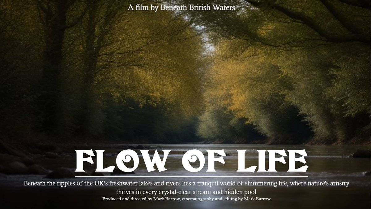 UnderwaterMedia's tweet image. My new film will be shown at the Cambridge Rivers Of Film Festival on September 28th. The short version was shown at the @TheRiverSummit.
It covers the beauty of freshwater fish and the damage pollution is doing. More details to follow on venue and timings.
#freshwaterfish