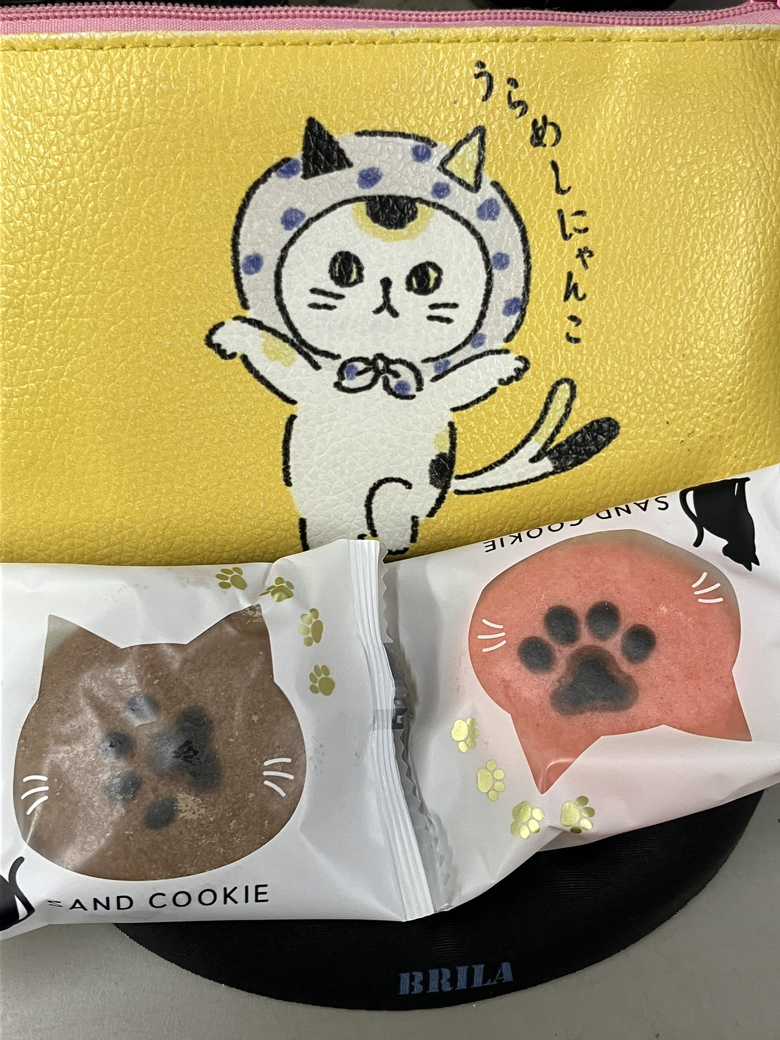 ゆめにゃんこ様おまとめ確認専用 ニャン🐱ぽー ᓚᘏ ᗢ ✿ ᗢ ᘏᓗでっかいおやゆびひめتﾛn♖ on