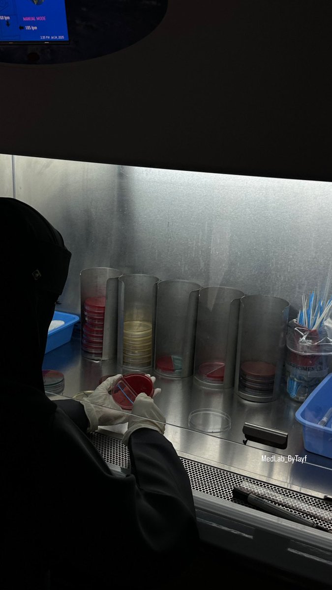 MLS. Tayf tweet media