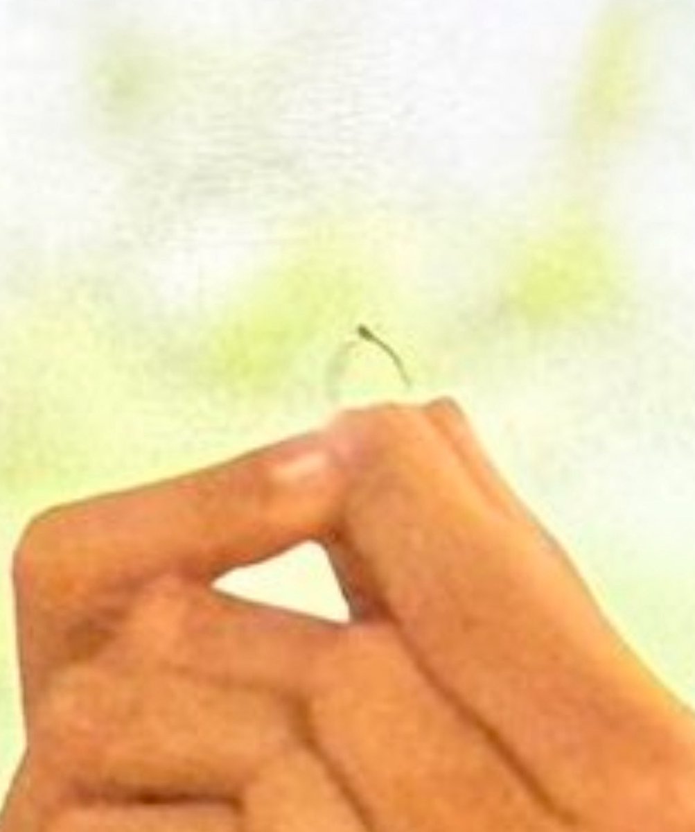 misha! 𓏲ּ𝄢 tweet media