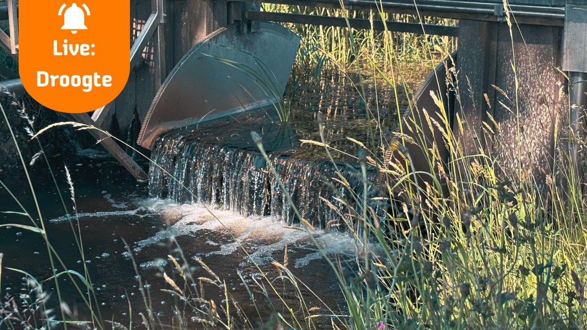 Het typische Nederlandse zomerweer van afgelopen week zet door. Ook deze week wisselden zon en regen elkaar af en waren de temperaturen niet al te hoog. Een aantal maatregelen die we eerder namen om #droogte tegen te gaan kunnen we afbouwen. 👉 wdodelta.nl/droogteblog-ne…