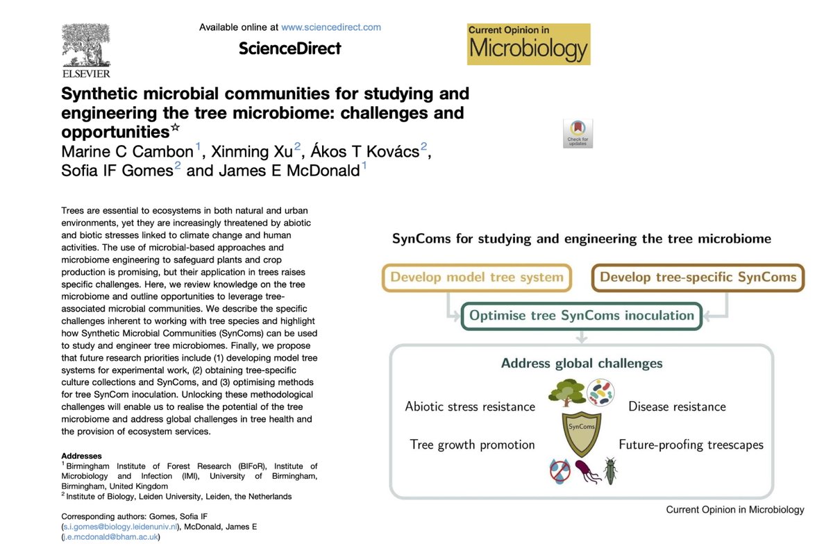 Akos T. Kovacs (@evolvedbiofilm) on Twitter photo See our review in #CurrOpinMicrobiol on SynComs for tree microbiome engineering by Marine Cambon, Xinming Xu, @sofiaifgomes, and <a href="/jamesemcdonald/">James McDonald</a>
supported by a seed grant between <a href="/IMIBirmingham/">IMIBirmingham</a> / <a href="/unibirmingham/">Uni of Birmingham</a> & <a href="/LeidenBiology/">LeidenBiology</a> / <a href="/UniLeiden/">Universiteit Leiden</a>
sciencedirect.com/science/articl⦠See our review in #CurrOpinMicrobiol on SynComs for tree microbiome engineering by Marine Cambon, Xinming Xu, @sofiaifgomes, and <a href="/jamesemcdonald/">James McDonald</a>
supported by a seed grant between <a href="/IMIBirmingham/">IMIBirmingham</a> / <a href="/unibirmingham/">Uni of Birmingham</a> & <a href="/LeidenBiology/">LeidenBiology</a> / <a href="/UniLeiden/">Universiteit Leiden</a>
sciencedirect.com/science/articlβ¦