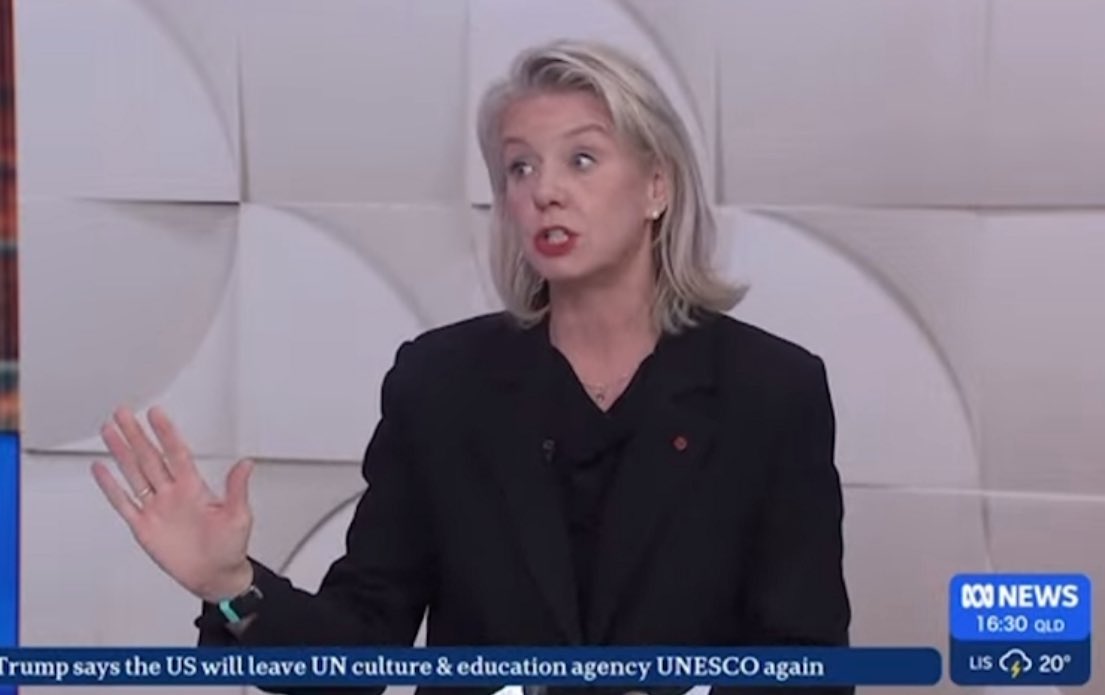 strangerous10's tweet image. Bridget McKenzie suggests she’s now also against Net Zero after previously backing it in & claims “Everyone thought that Net Zero would mean Net Zero cost!”
Plz spk for yourself Bridget, not everyone is that stupid. #Abc