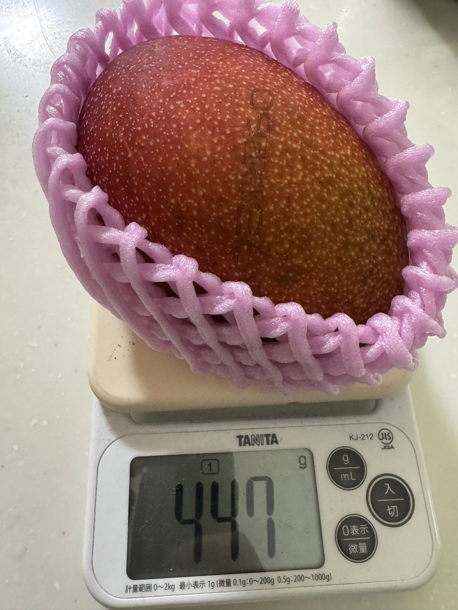 摘果マンゴー　23kg+α 摘果マンゴー 23キロ