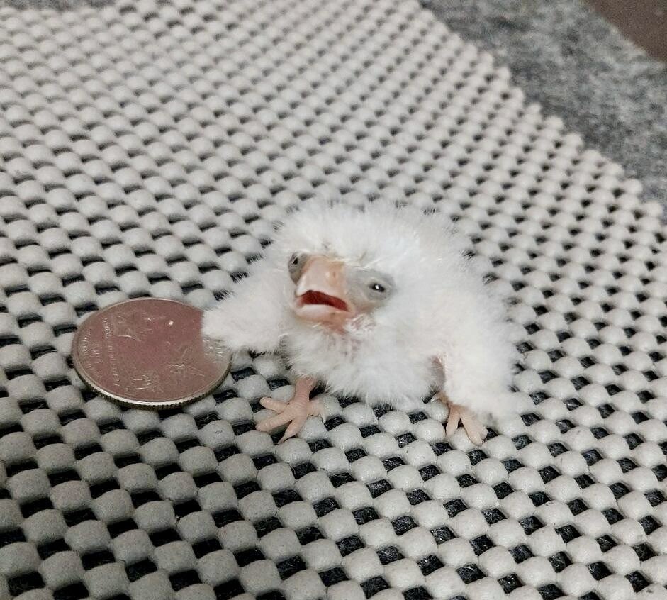 RobertoDeNiroh's tweet image. Lo que me queda de la paga extra (que, por cierto, sigue recortada) tras una semana de vacaciones en un camping