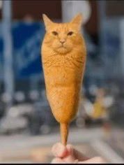 barofsoap418's tweet image. just woke up in the middle of the night choking on my own spit while drenched in sweat and not knowing who or where i was