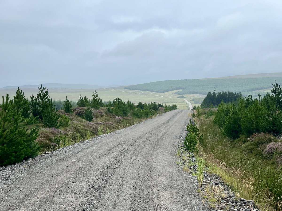 LifeAfloat's tweet image. Rather uninspiring this morning. Trudging.