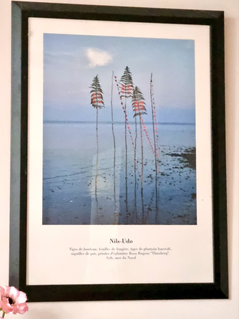 Delighted seeing this*Blue picture in one of the many Athena art shops that were around in the 1990s
It's the sea around the German island of Sylt,which I'd visited when island hopping to Denmark one Summer
Ofcourse I bought it as nice memory of that time