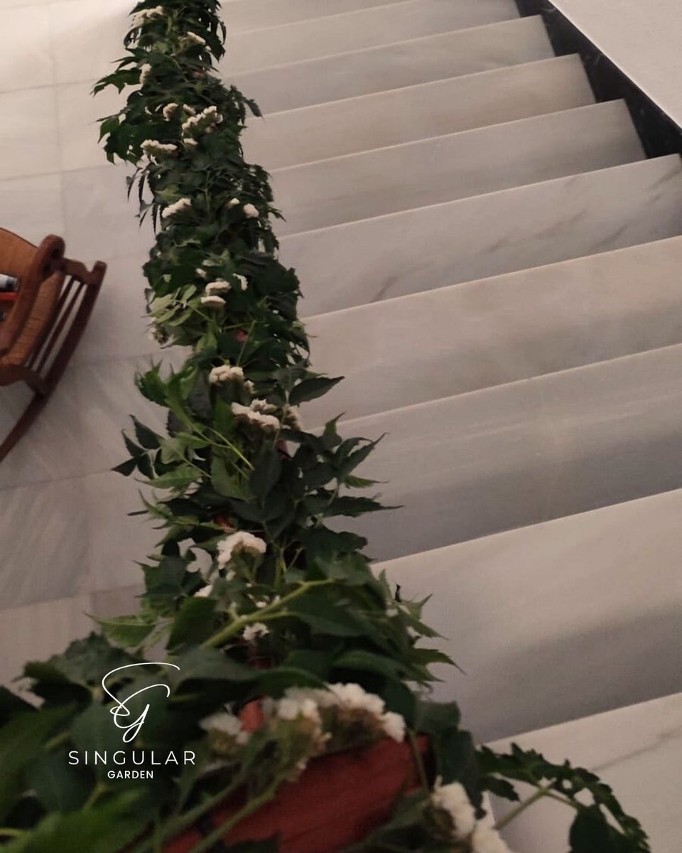 Singular Centro Especial de Empleo (@singularcee) on Twitter photo 💍Hemos realizado la #decoraciónfloral y los #detallesparainvitados de una boda muy especial: Pedro&Victoria.
¡Deseamos a esta pareja toda la felicidad del mundo!
💯Gracias por confiar en #SingularGarden.
📧 info@singularcee.com
☎️ 676224725
#singularcee #castrodelrio 💍Hemos realizado la #decoraciónfloral y los #detallesparainvitados de una boda muy especial: Pedro&Victoria.
¡Deseamos a esta pareja toda la felicidad del mundo!
💯Gracias por confiar en #SingularGarden.
📧 info@singularcee.com
☎️ 676224725
#singularcee #castrodelrio