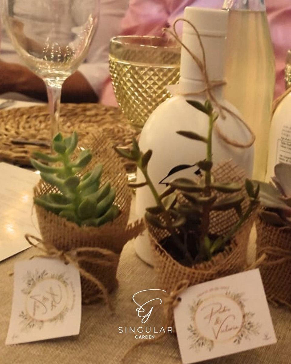 SingularCEE's tweet photo. 💍Hemos realizado la #decoraciónfloral y los #detallesparainvitados de una boda muy especial: Pedro&amp;Victoria.
¡Deseamos a esta pareja toda la felicidad del mundo!
💯Gracias por confiar en #SingularGarden.
📧 info@singularcee.com
☎️ 676224725
#singularcee #castrodelrio https://t.co/ExNHk8FjpP