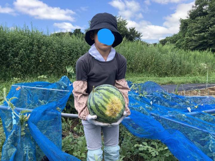 IElYjfZ1TM9WZJd's tweet image. #短歌 #tanka
『夏休み
スイカ収穫
得意げに
孫たち思い出
また一つ増え』
お嫁さんの実家で、スイカ収穫体験をして来ました。