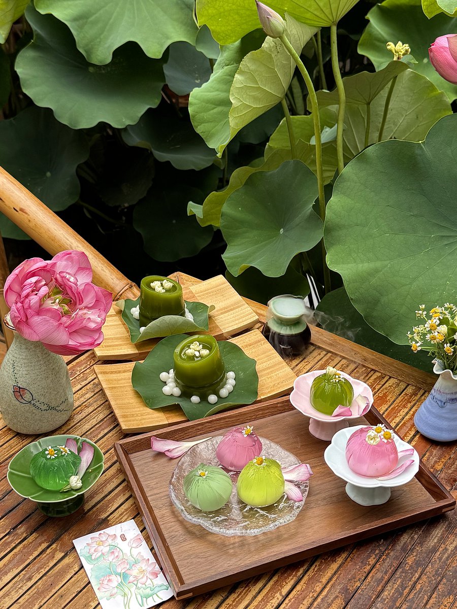 Chengdu_China's tweet image. A hidden lotus courtyard in Chengdu so beautiful. 🌸
cr: 椰椰想早睡