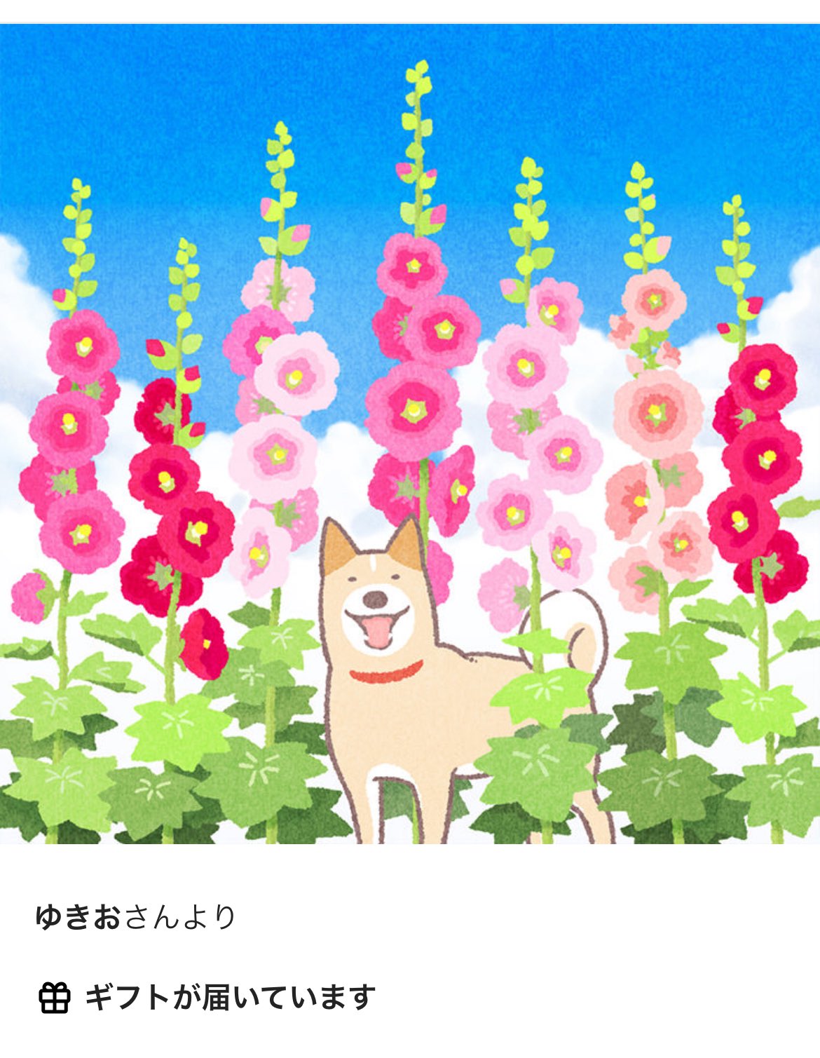 紫苑＠黒猫 on X: 