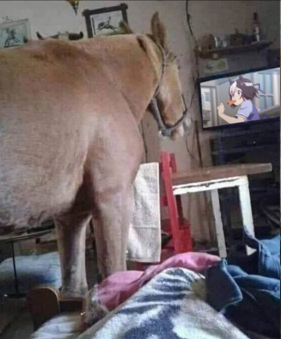 thebestylefty's tweet image. Now to delete the horse cock off my phone