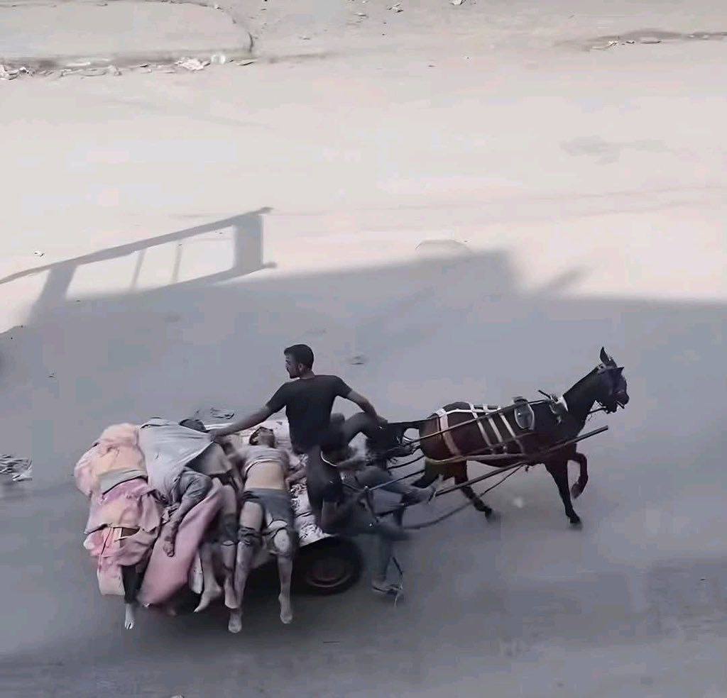 اللهمَّ من خذلهم فاخذله
ومن قتلهم فاقتله
ومن جوَّعهم فجوّعه
ومن أظمأهم فأظمئه
ومن خوّفهم فخوّفه
اللهم عدلكَ وانتقامك لغزَّة!

#يليه 
سـلامًا علىٰ غـزه حتىٰ يطمئـن فؤادهـا 
سـلامًا علىٰ غـزه حتىٰ تبـرد نارهـا
سـلامًا علىٰ غـزه حتىٰ تطيـب جراحهـا
سـلامًا علىٰ غـزه وارضهـا