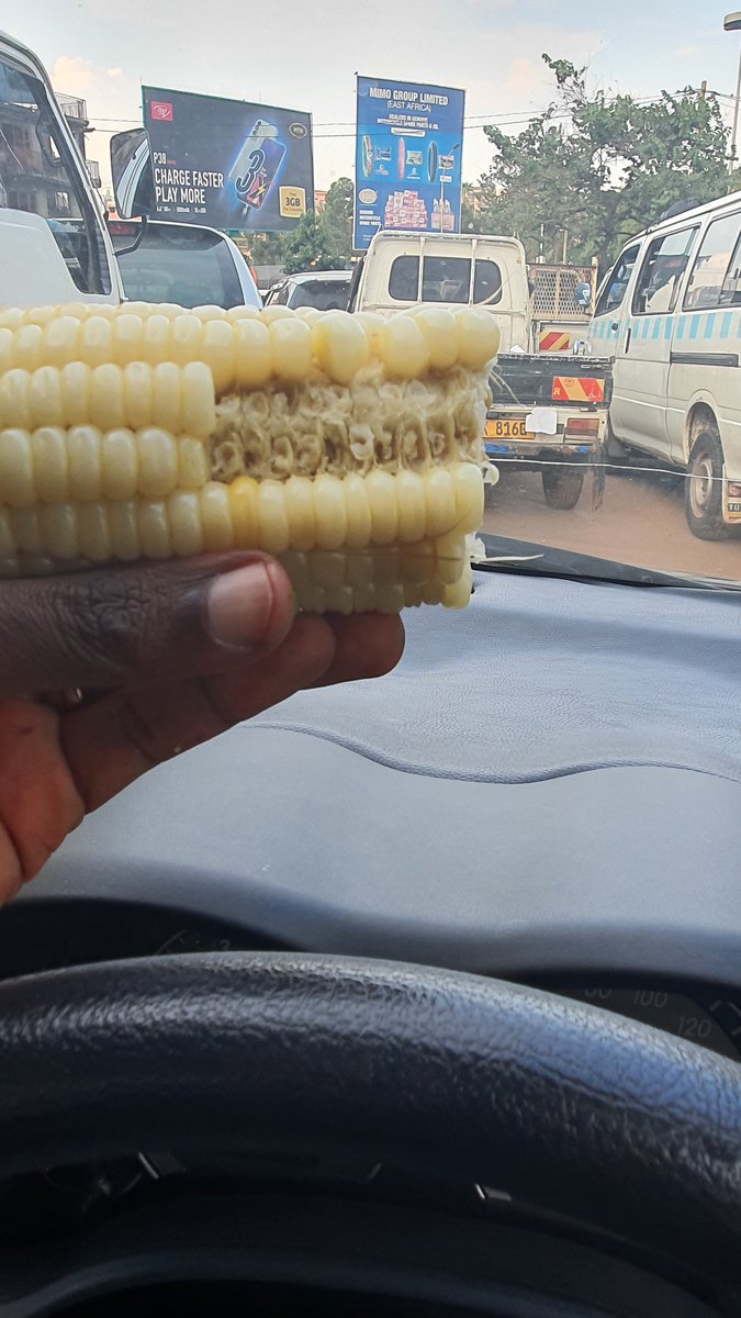 drkasenene's tweet image. If you want to eat maize, eat it whole on the cob.
Avoid posho that is overly refined, the type that looks like refined wheat flour.
Refined flour has no fibre and spikes blood sugars leading to many negative effects like belly fat storage, insulin resistance and more.