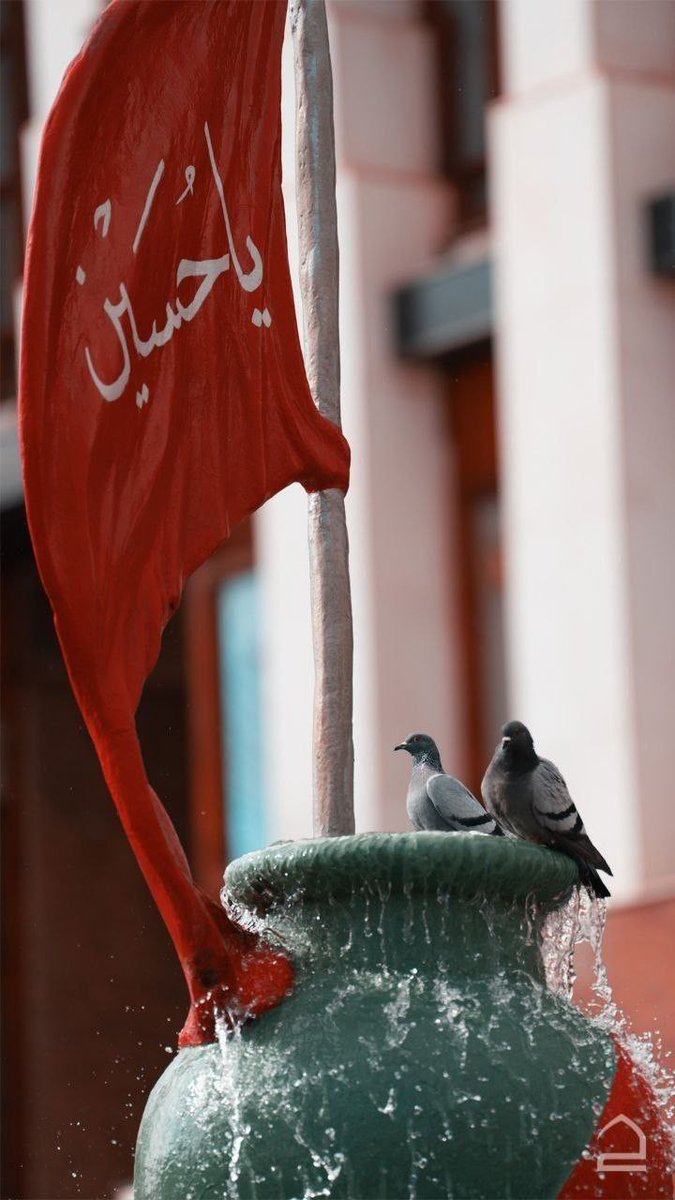 Reyhaneh88M's tweet image. امام حسین جانم در هر نفسی که میکشم، نام شما را فریاد میزنم.
#مهر_حسینی
#حب_الحسین_یجمعنا