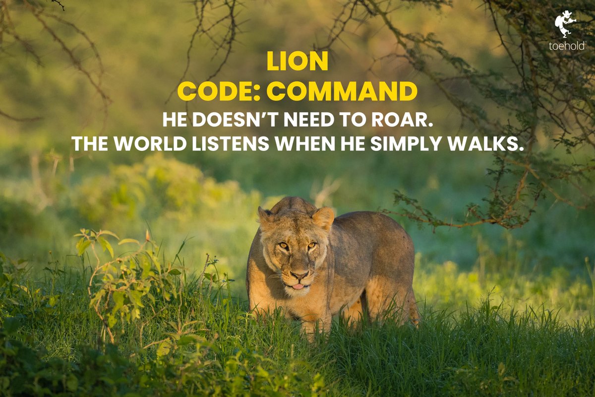 TOEHOLD_TP's tweet image. The wild doesn’t talk.
It teaches.
Command. Legacy. Balance. Resilience. Harmony.
Swipe through the Wild Code. Each animal holds a value.
#ToeholdPhotoTravel