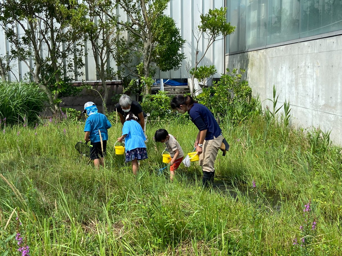 aquamarinestaff's tweet image. 7/26(土)「アクアマリン ビオトープの いきもの調査」開催します!
7・8月に全5回開催予定です!
本館1階エントランスホールで当日受付です。
対象は、小学1年~6年生の親子
参加料など詳しくは公式サイトを。
aquamarine.or.jp/learn-with-kee…
#水族館 #生き物 #夏休み #ビオトープ #飼育員 #親子で