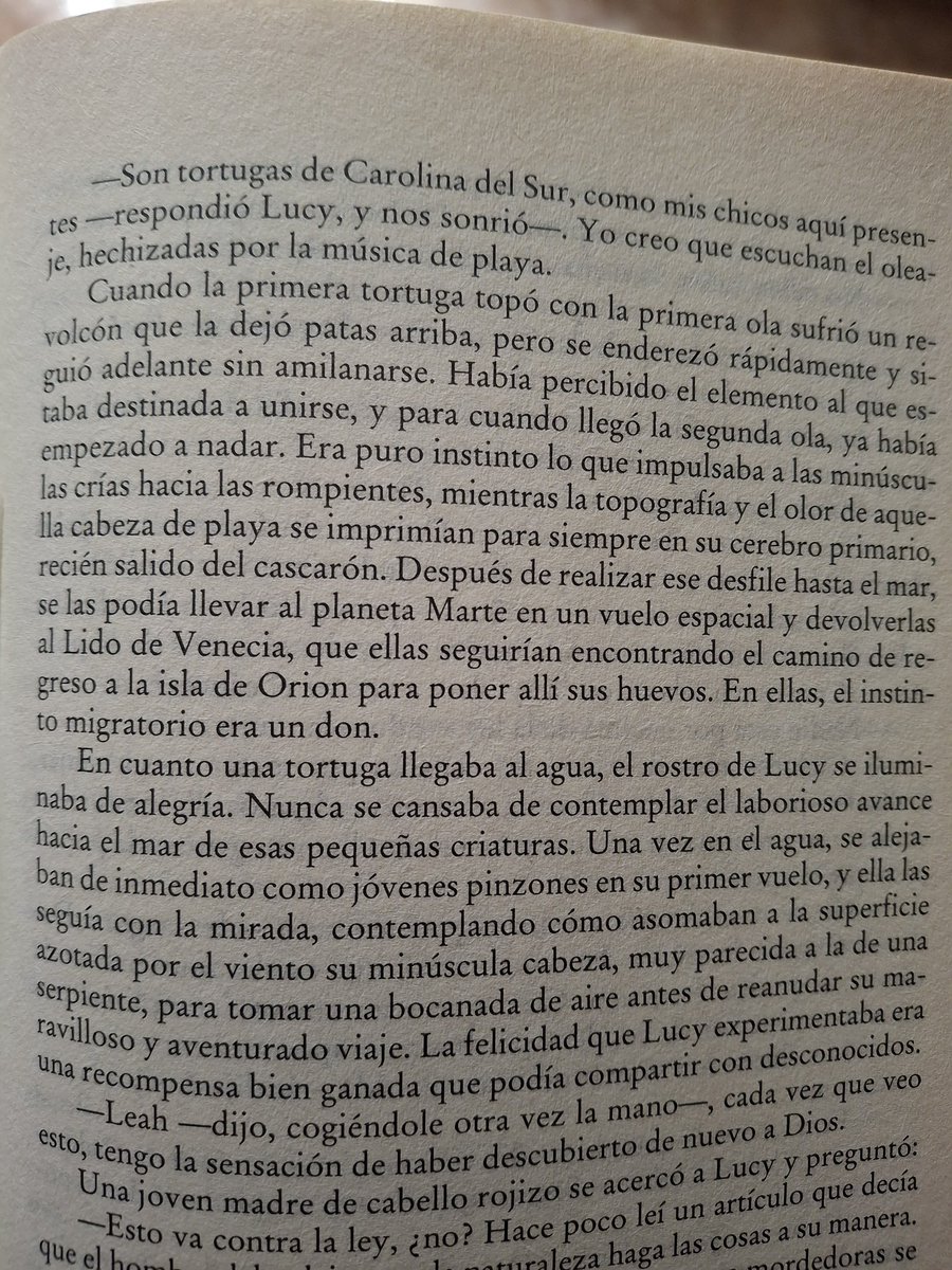 SiQueEsMiPelo's tweet image. Y ahora NECESITO ir a Carolina del Sur.... a la isla de Orion.... con las tortugas.