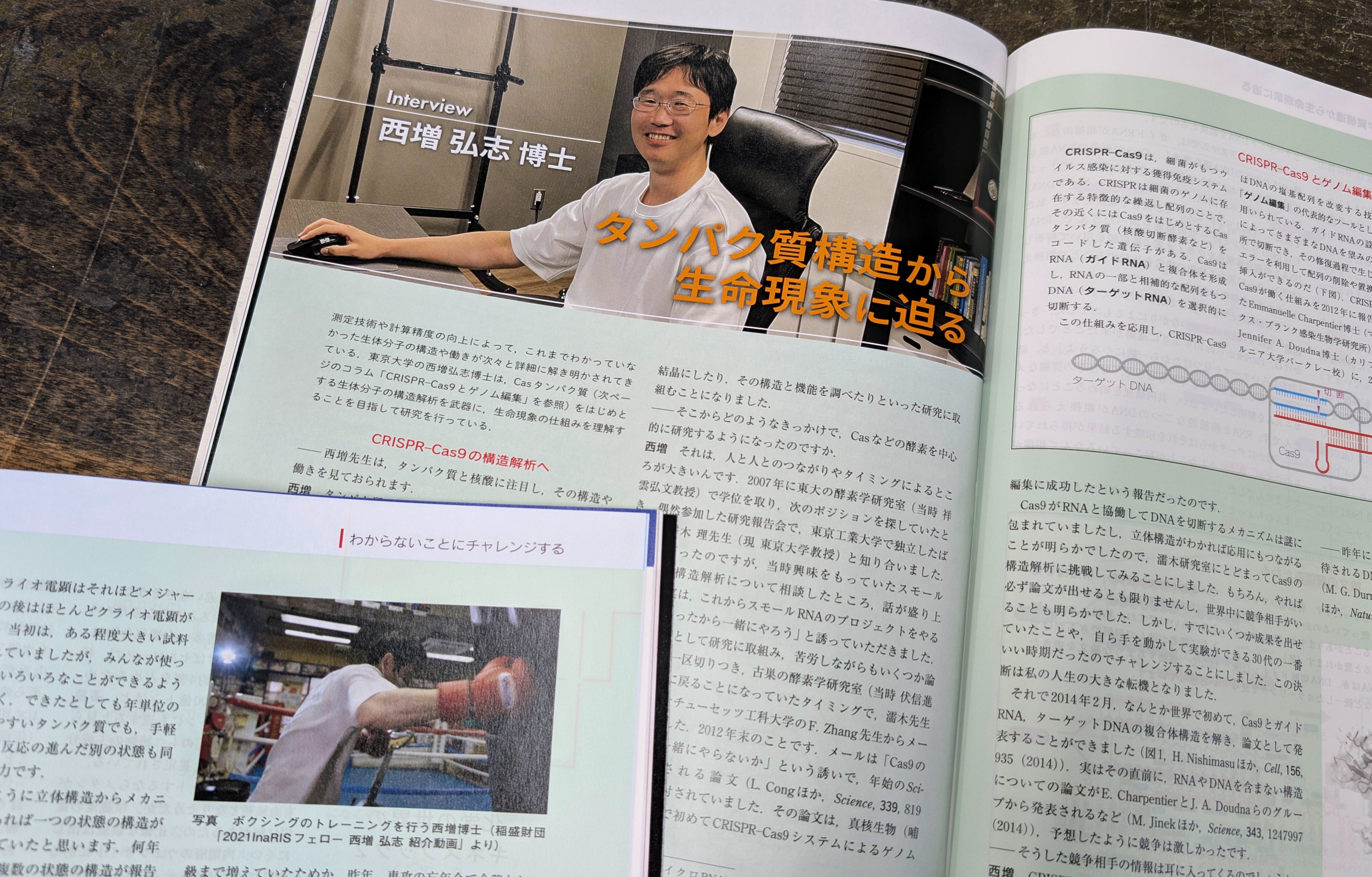 クールソン　化学結合論 マイクロスケール有機化学実験 | K.L. ウィリアムソン, 俊夫