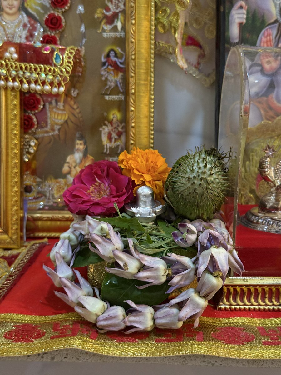 Shivani_AAP's tweet image. आप सभी को महाशिवरात्रि की हार्दिक शुभकामनाएं।
यह पावन दिन आपके जीवन में शांति, शक्ति और सकारात्मकता लेकर आए।
भोलेनाथ का आशीर्वाद सदा आप पर बना रहे।
हर हर महादेव।
— *शिवानी चौहान* 🌸