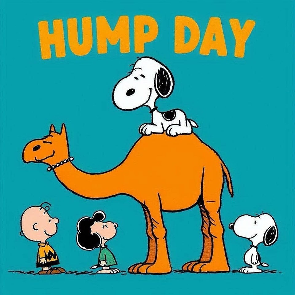 Good morning everyone ✌️😁 hope you all have a fantastic Wednesday and happy hump day 🐫😉 enjoy your day 😈 Please take care of yourself 🙏🤗
