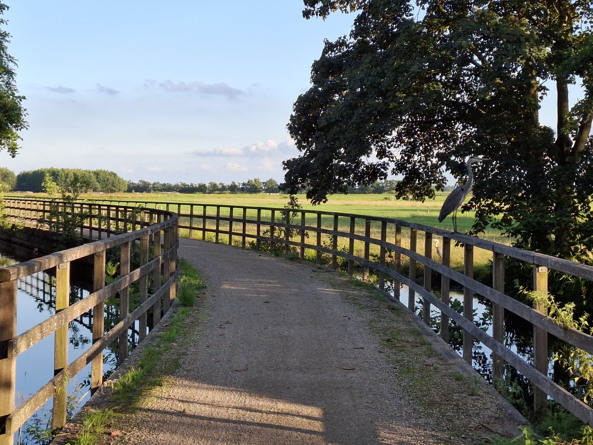 Maarten Molenaar tweet media