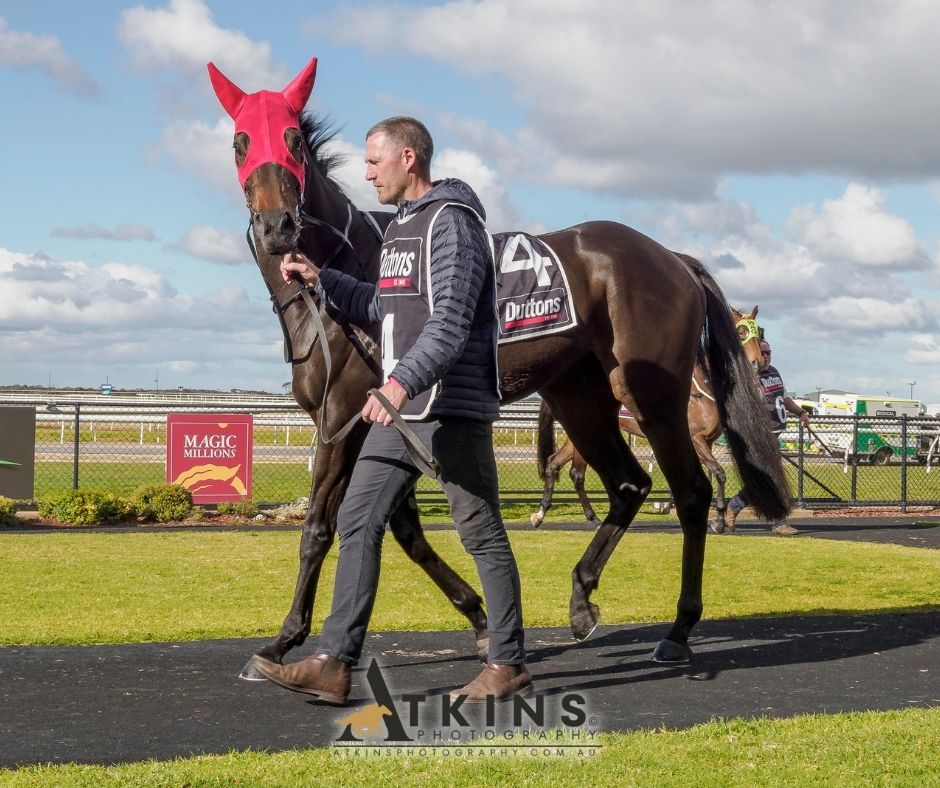 terry_hann's tweet image. Matthew Seyers, Jacob Opperman and United Legend teamed up to win at Murray Bridge.
Photos ~ AtkinsPhotography.com.au
Pre-race photos ~ AtkinsRacing.com.au
@RacingSA @CountryRacingSA @seyersracing @NadiaHorne
