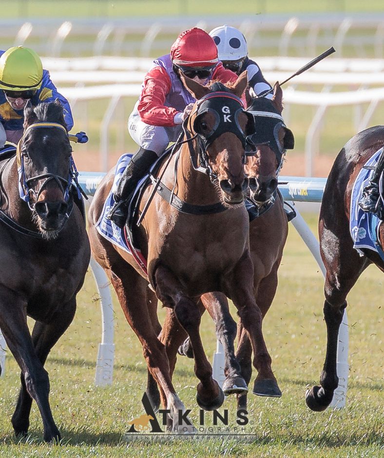 terry_hann's tweet image. Gold Spirit, ridden by Brooke King and trained by Grant Kluske, won at Murray Bridge.
Photos ~ AtkinsPhotography.com.au
Pre-race photos ~ AtkinsRacing.com.au
@RacingSA @CountryRacingSA @king_brooke23 @deanpet74 @GKluskeRacing