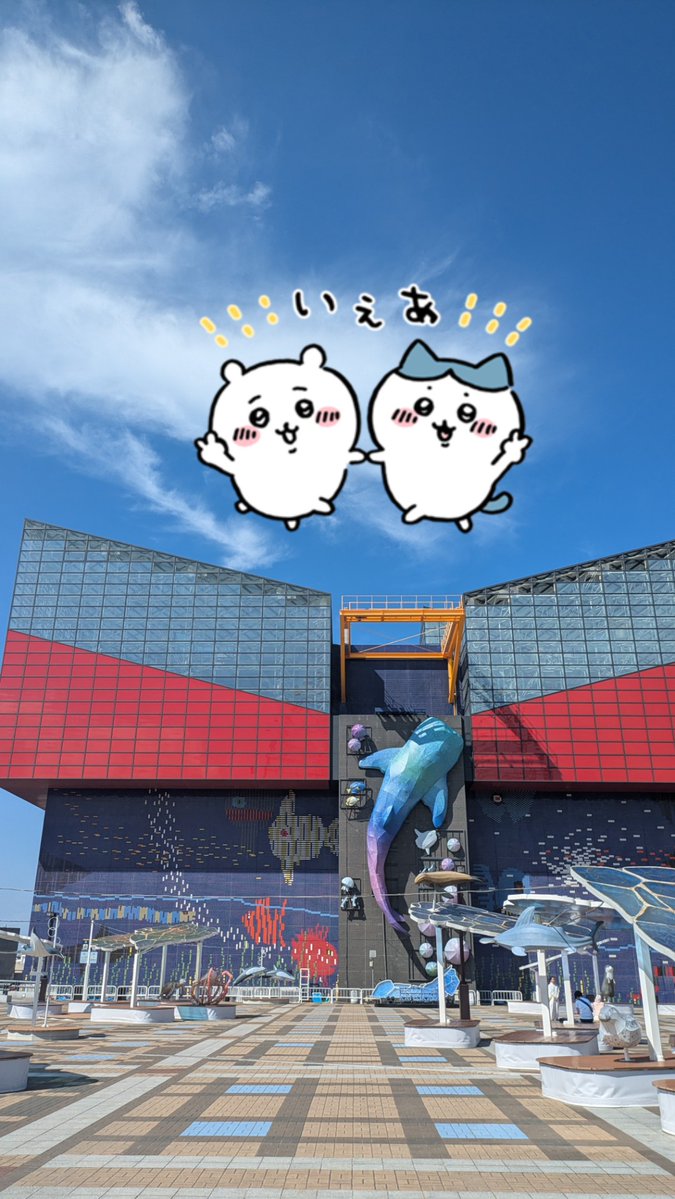 korokor66326316's tweet image. 🔍🐟🐠🦈🐢〜
海洋生物観測隊代表でーす🕵️

#海遊館
#水族館