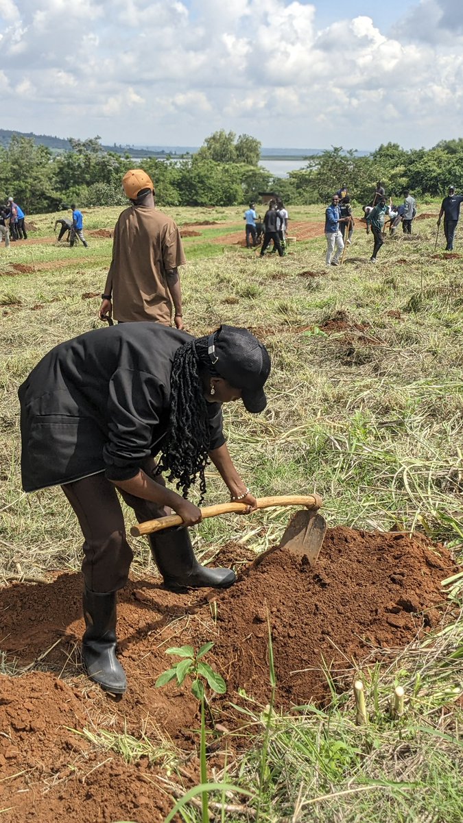 Forest4lifec's tweet image. Your hands can heal the Earth, start with one #tree, one seed.

#RestoreTheLand
#TreeByTree