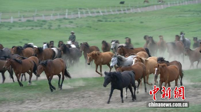 Echinanews's tweet image. Throughout history, horses have been serving as vital transporters along the ancient Silk Road and indispensable assets for trade and military campaigns across the Hexi Corridor in northwest China's Gansu Province. In 138 B.C., envoy Zhang Qian embarked on his first diplomatic…