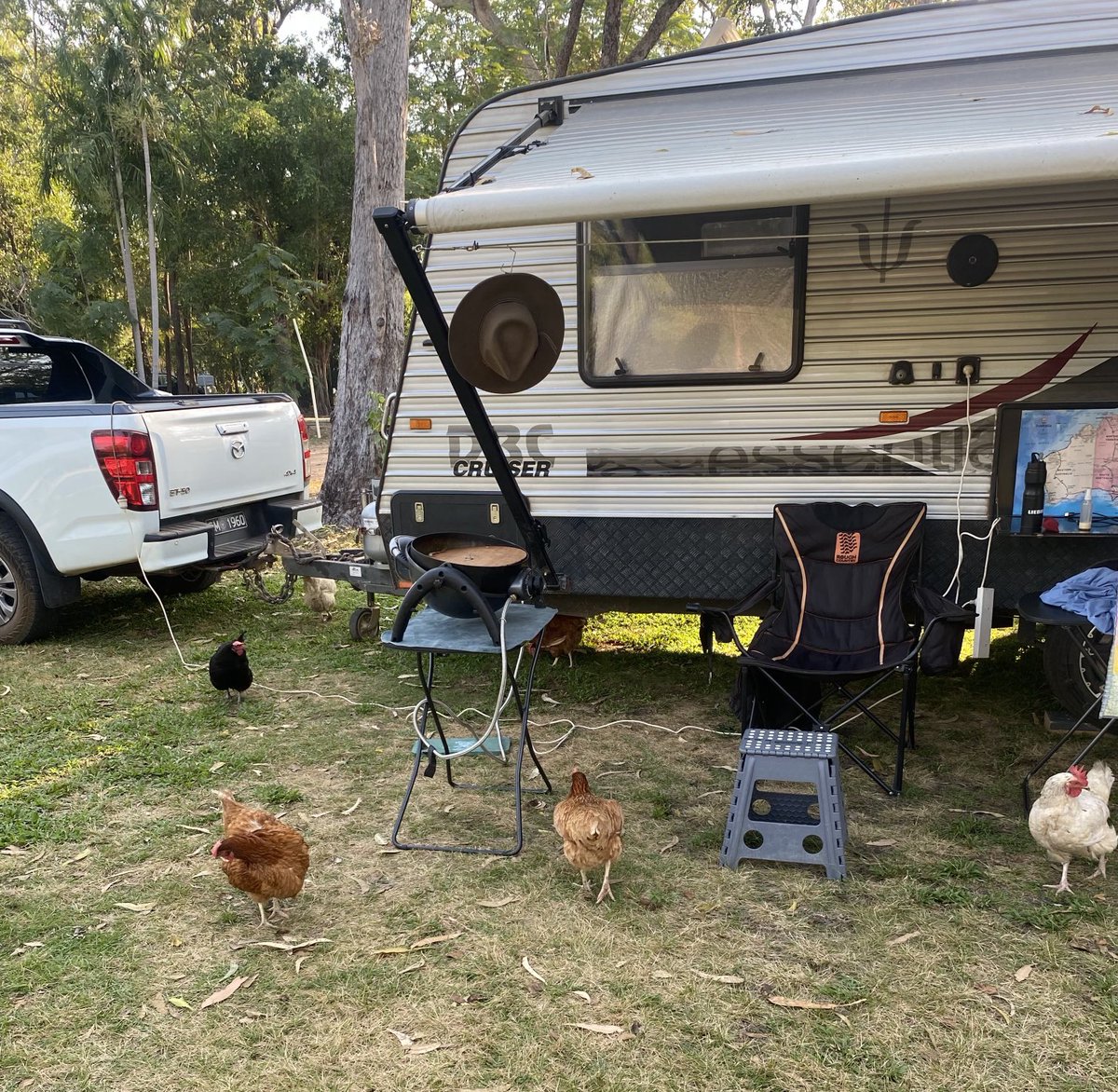 grantm_60's tweet image. Staying at the back of the Corroboree Park tavern. Hoping for fresh eggs at breakfast or else it’ll be roast chicken for dinner😳 #vanlife #greynomads