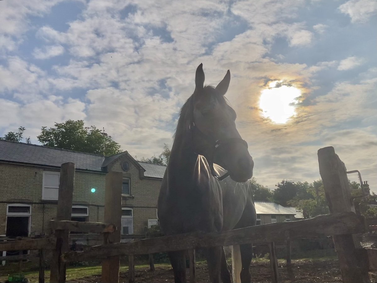 JohnWathenBerry's tweet image. As the past couple of days in Newmarket, bits of cloud & bits of blue sky this morning. Still pleasantly warm, day & night. Currently 16 degrees, forecast high 22 #FlyingStar #TarbatNess #DoubleMeaning