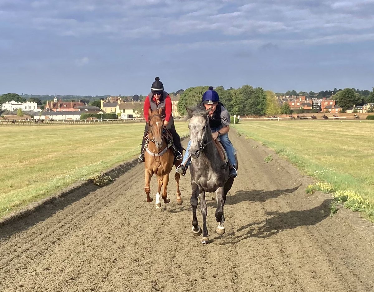JohnWathenBerry's tweet image. As the past couple of days in Newmarket, bits of cloud & bits of blue sky this morning. Still pleasantly warm, day & night. Currently 16 degrees, forecast high 22 #FlyingStar #TarbatNess #DoubleMeaning