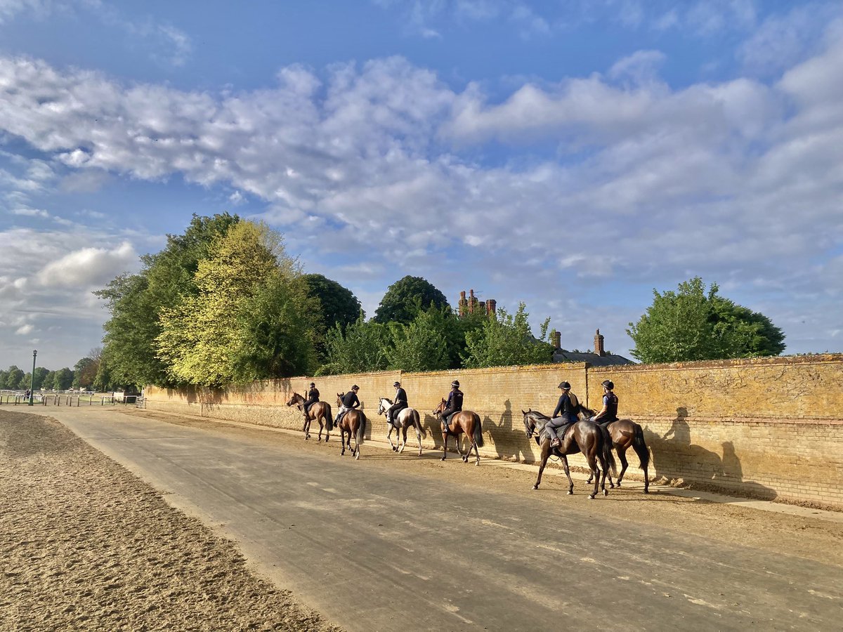 JohnWathenBerry's tweet image. As the past couple of days in Newmarket, bits of cloud & bits of blue sky this morning. Still pleasantly warm, day & night. Currently 16 degrees, forecast high 22 #FlyingStar #TarbatNess #DoubleMeaning