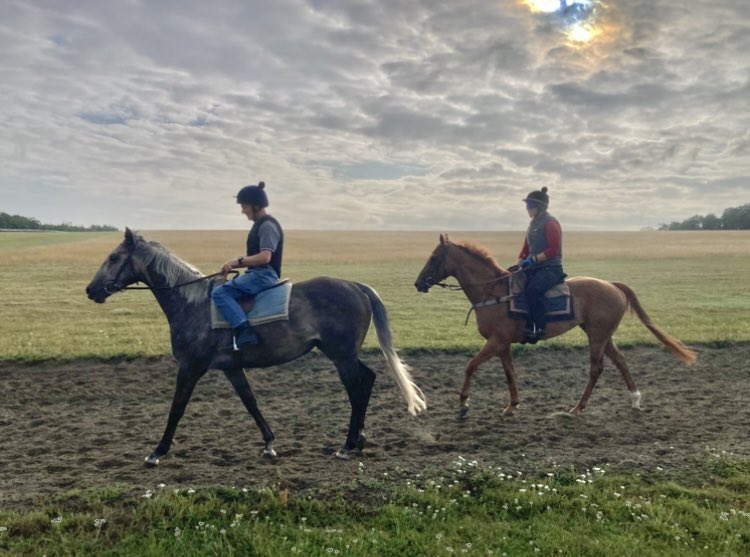 JohnWathenBerry's tweet image. As the past couple of days in Newmarket, bits of cloud & bits of blue sky this morning. Still pleasantly warm, day & night. Currently 16 degrees, forecast high 22 #FlyingStar #TarbatNess #DoubleMeaning