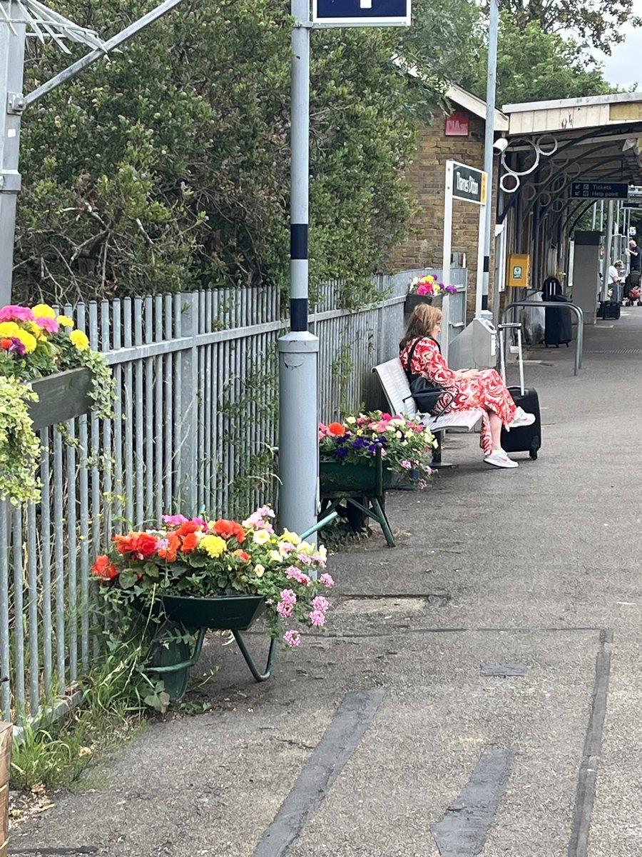 Thames Ditton In Bloom tweet media