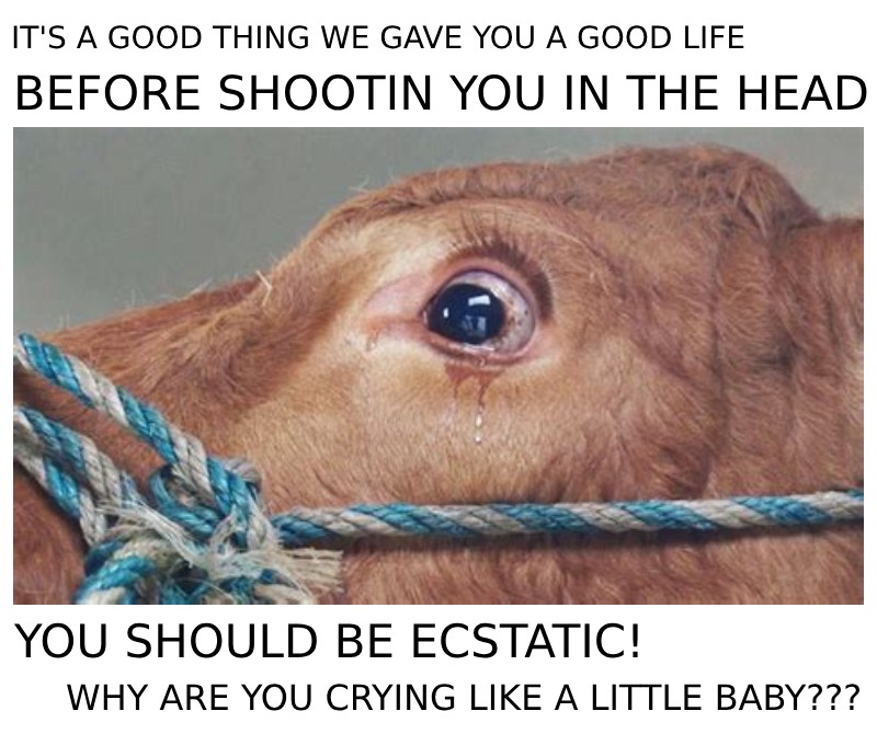 VeganPostMortem's tweet image. In a conversation about ANYONE ELSE in ANY OTHER CONTEXT this would sound psychotic. Why does it sound normal to you when talking about farmed animals?
#govegan