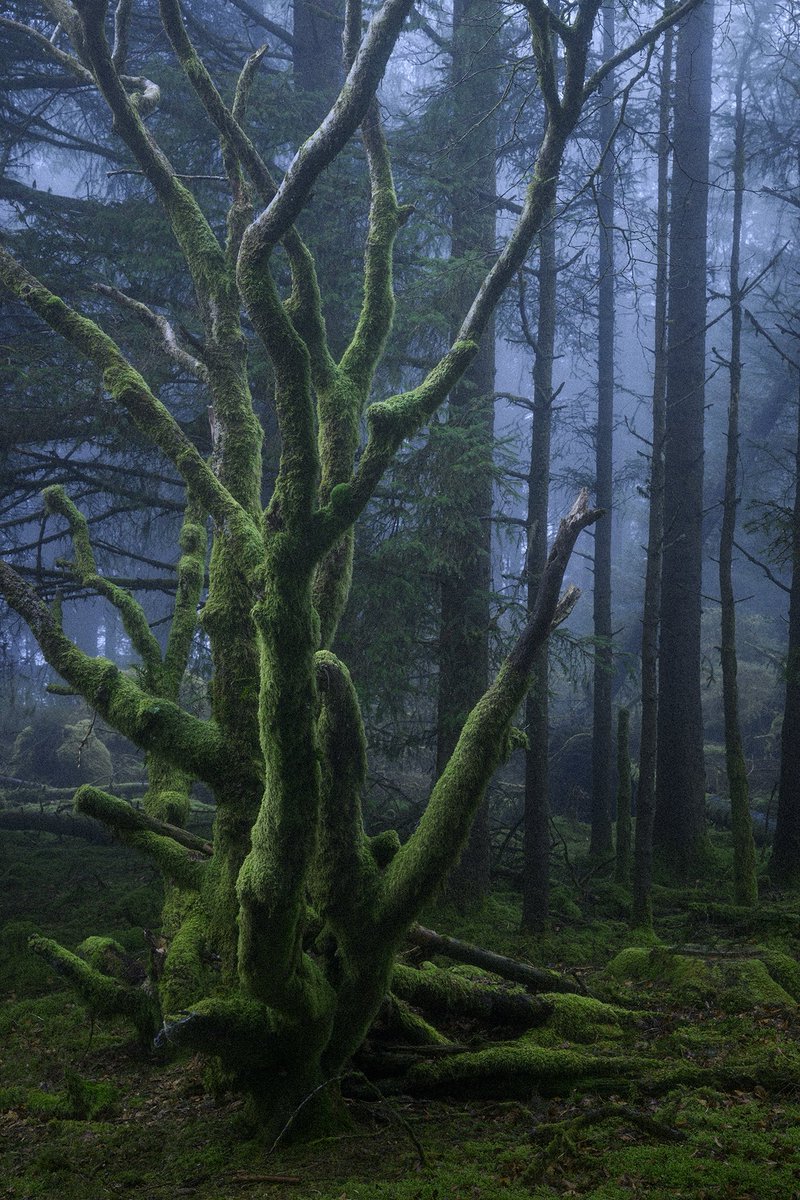 In Search of Silence