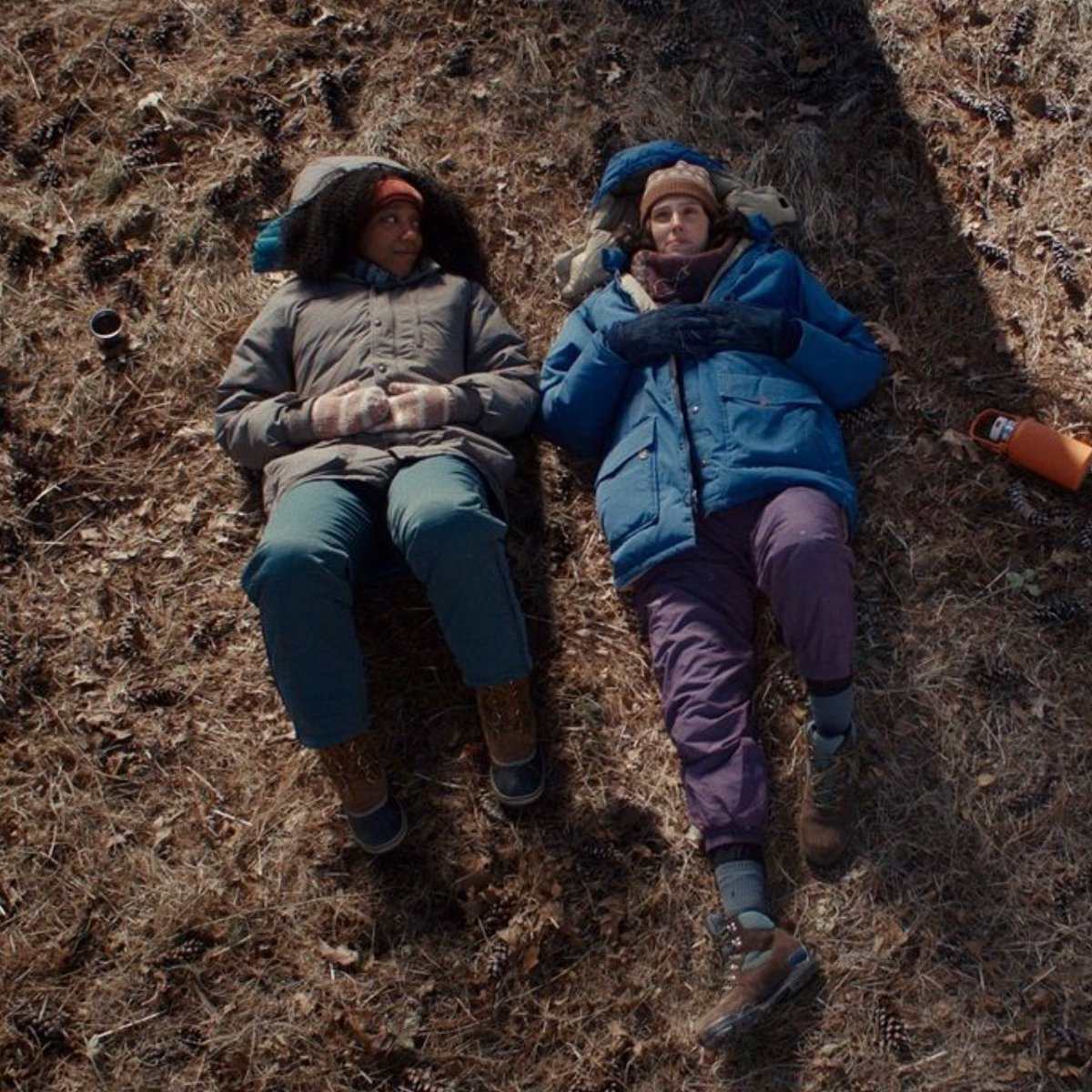 - Un serial killer et des requins passés par la <a href="/Quinzaine/">Quinzaine des Cinéastes</a> des Cinéastes : c’est #DangerousAnimals de Sean Byrne ! 🦈

- Eva Victor est à la fois devant et derrière la caméra pour son premier long-métrage, #SorryBaby, Prix du Scénario à Sundance. 🏆