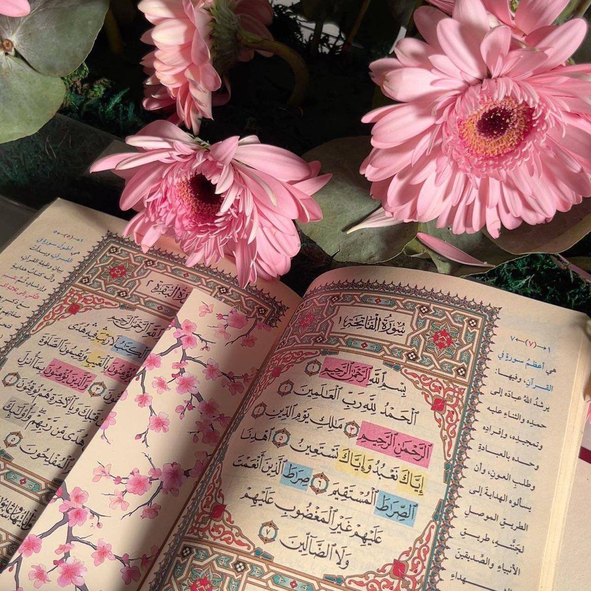 t_5mf's tweet image. &quot;علىٰ قدر طول المكث مع القرآن؛ يكون حجم نعيم القلب&quot;🌧️.
