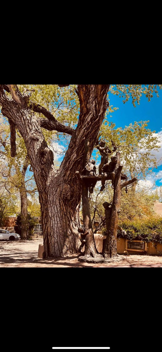 Santa Fe, NM is a city rich in art &amp; cultural heritage. At some point will post more pics. Zoom into the tree and look at the beautiful creative work.