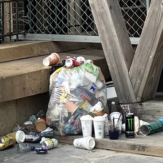 Autour de Notre-Dame, la suppression des poubelles est un gros succès.

Les touristes y contribuent spontanément en créant des hubs de tri participatifs. 🥰 🌻