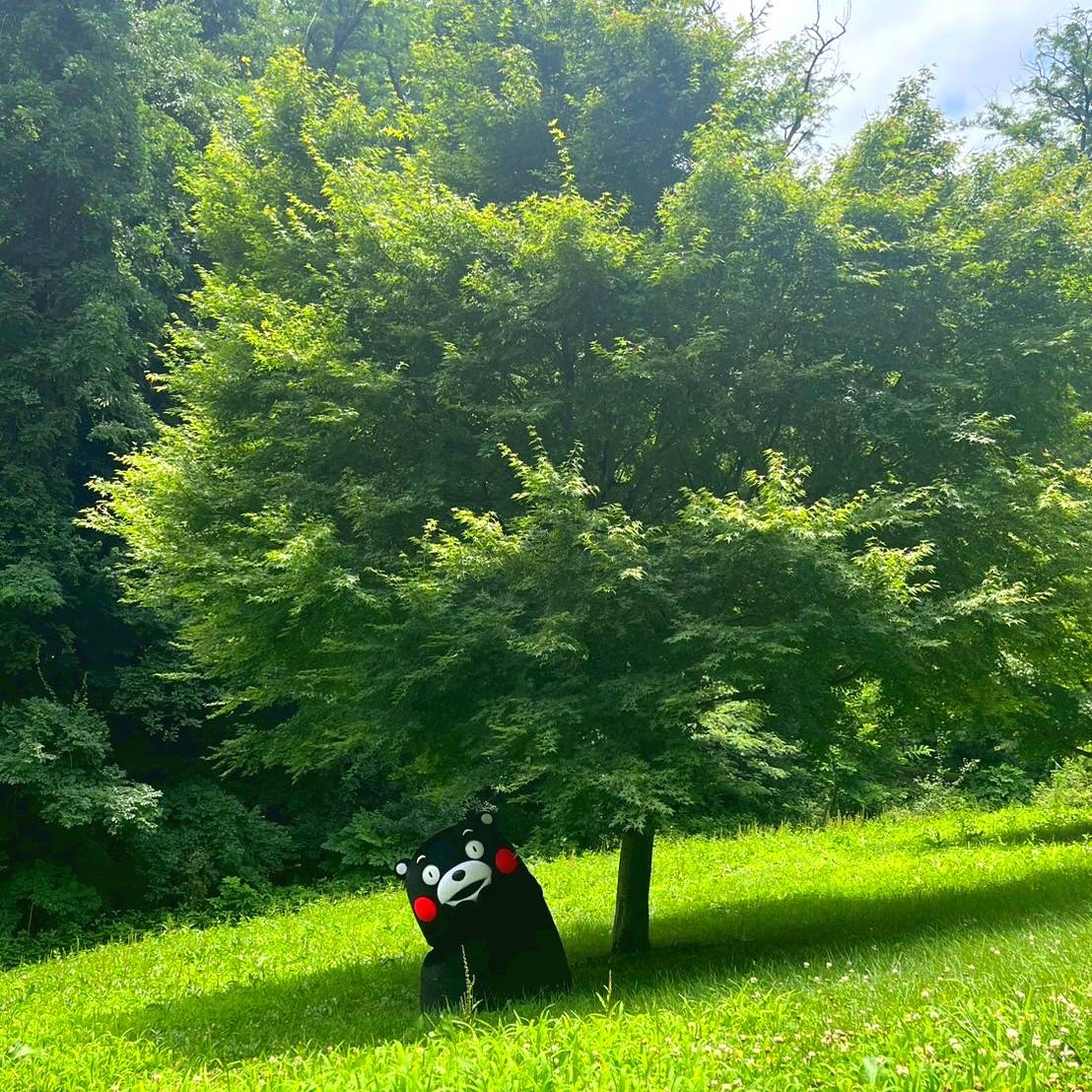 KumamonStaff's tweet image. とある日のくまモン。

暑さをしのげる素敵な場所を発見！

少しここで一休みするくまモンでした！