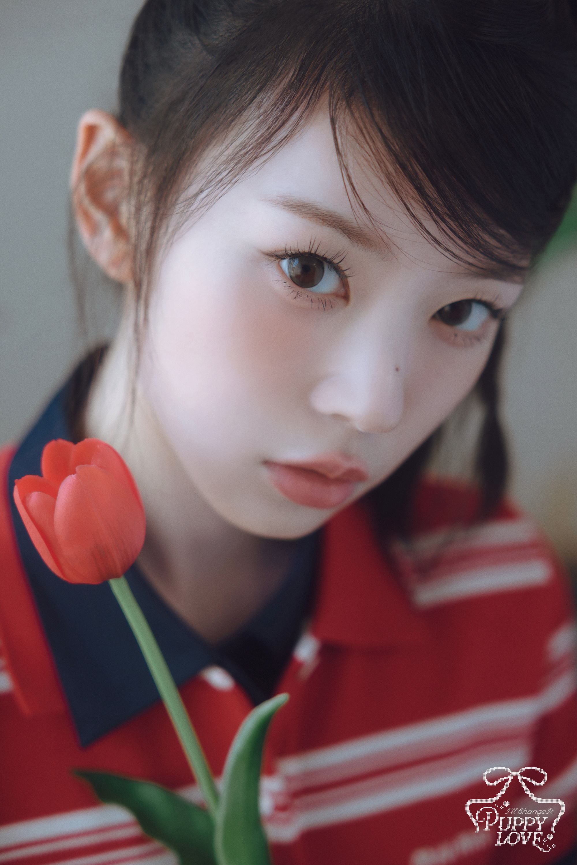 ILLIT Official Japan (@ILLITjpofficial) / X
