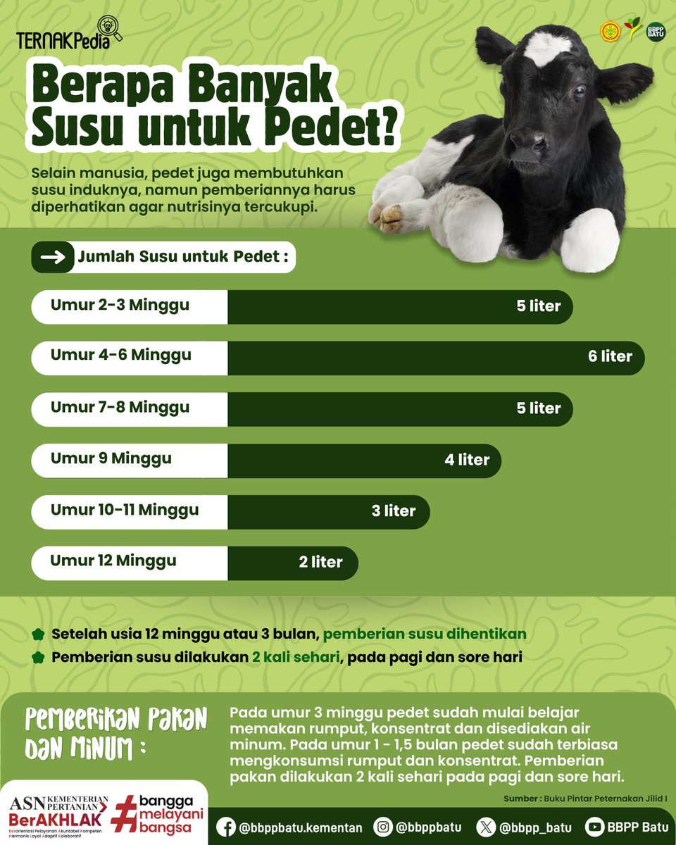 bbpp_batu's tweet photo. #SobatTani, kasih susu ke pedet nggak bisa asal-asalan, lho!
Ada takarannya sesuai umur biar kebutuhan nutrisinya terpenuhi dan pertumbuhannya optimal.
Yuk cek informasi lengkapnya di #TernakPedia!
_____
#BBPPBatu #BPPSDMP
#KementerianPertanian https://t.co/qVcjgauooK